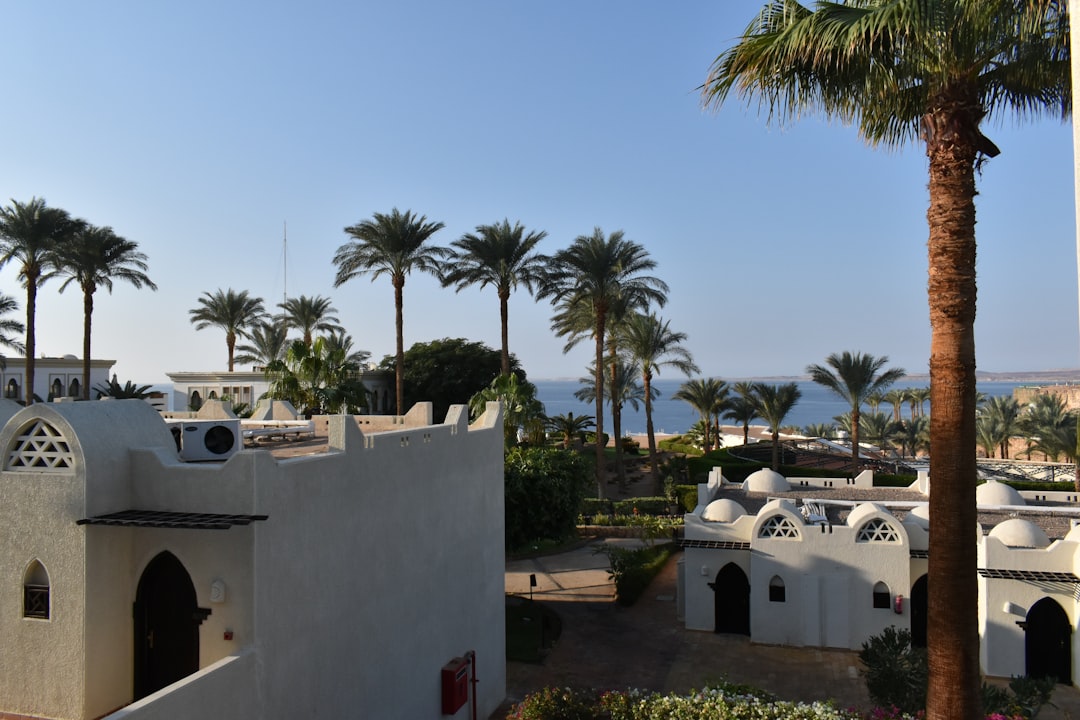 Sharm el-Sheikh nightlife guide