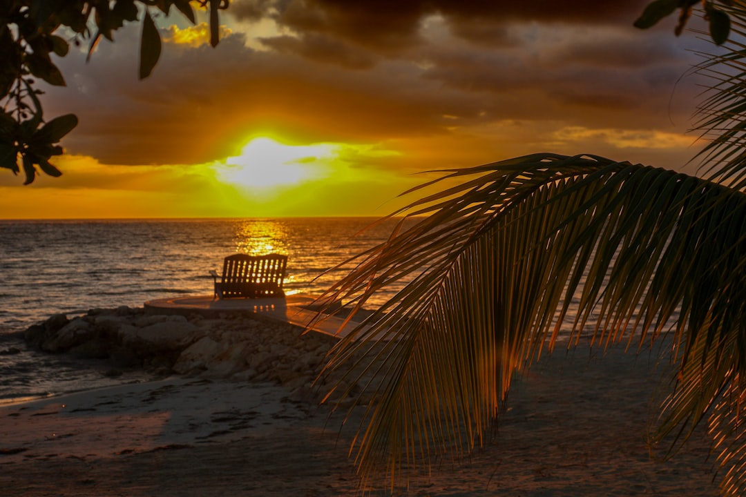 Jamaica nightlife guide